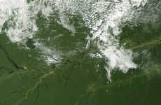 Satellite Deforestation Tracking