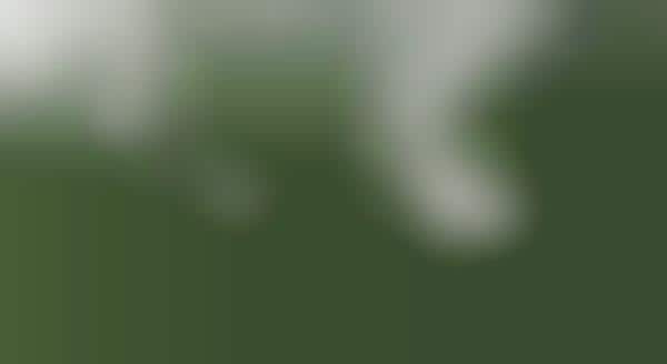 Satellite Deforestation Tracking