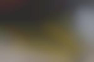 Driver-Shaming Bike Racks : City Bike Rack