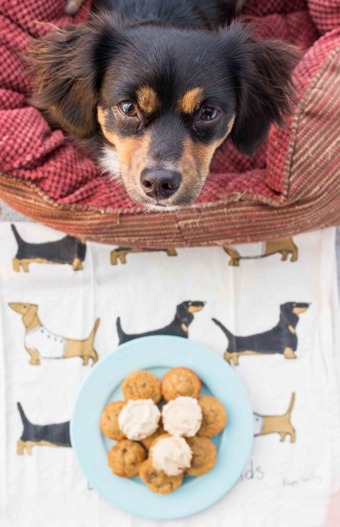 Pet-Friendly Banana Cakes