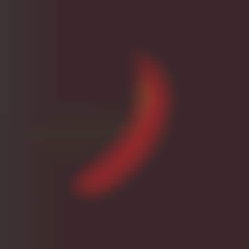 Painted Banana Photography