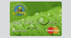 Eco-Friendly Credit Cards Article Thubnail