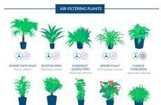 Air-Filtering Plant Guides