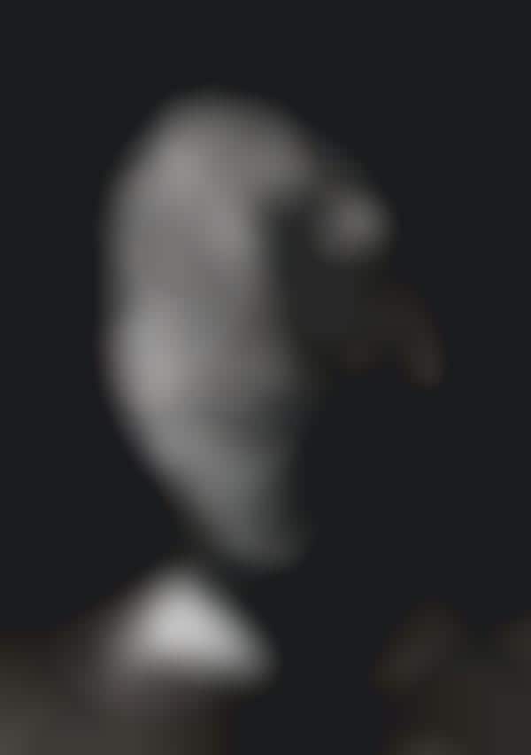 Shocking Shadow Portraits