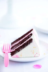 Vibrant Watercolor Cakes Image 3