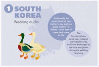 Unusual Nuptial Charts Image 2