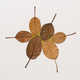 Crocheted Leaf Sculptures Image 2