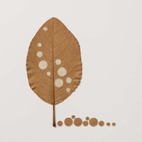 Crocheted Leaf Sculptures Image 6
