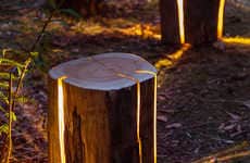 Cracked Log Lamps