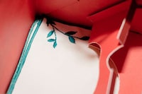 Graphic Pomegranate Packaging Image 8