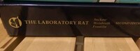 3D-Printed Rats Image 5
