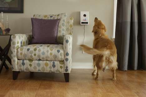 Treat-Dispensing Pet Cameras