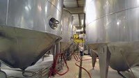 Virtual Reality Brewery Tours Image 4