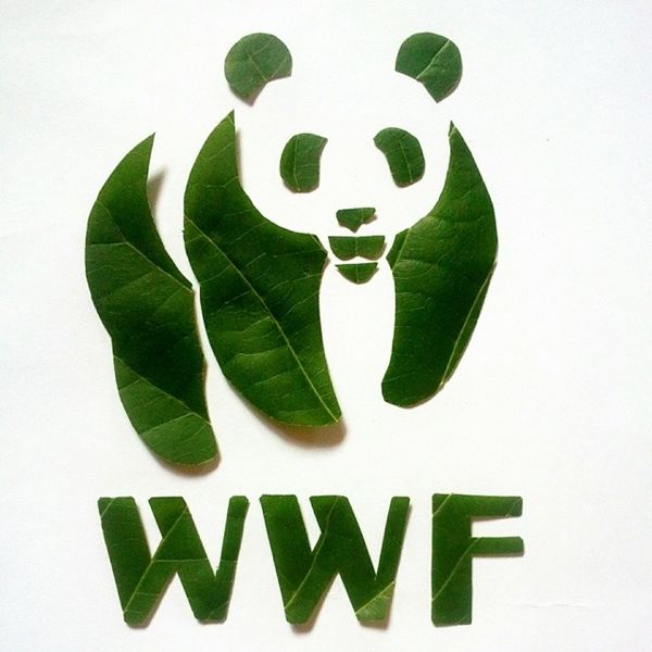 38 Animal Awareness Ads
