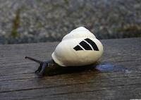 Mini Shell Paintings Image 2