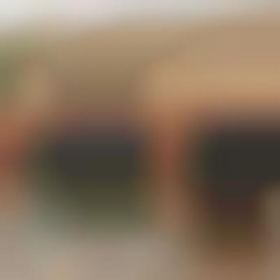 Pet-Friendly Employee Perks : pet-friendly