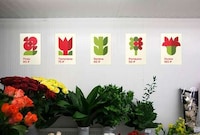 Pixelated Flower Chain Rebrands Image 4