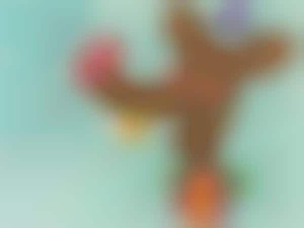 Quirky Language Illustrations