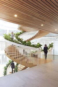 Spiraling Living Staircases Image 3