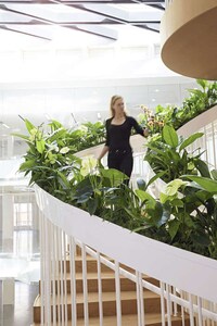 Spiraling Living Staircases Image 4