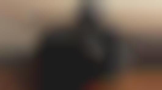 Lengthy Zoom Cameras