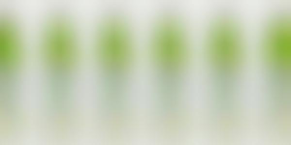 Olive Water Beverages
