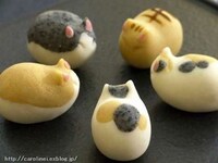 Tiny Cat-Shaped Treats Image 7