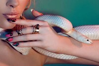 Exotic Nail Stickers Image 3
