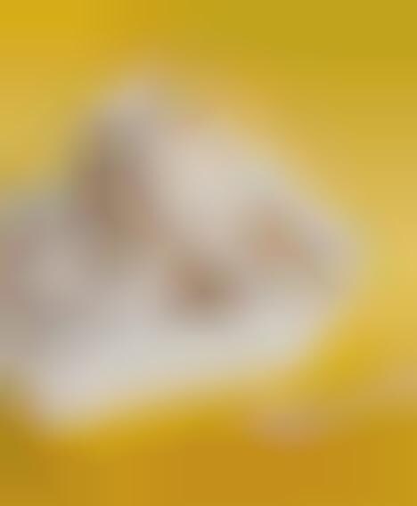 Single Ingredient Ice Cream