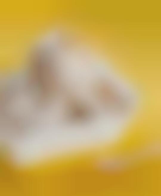 Single Ingredient Ice Cream