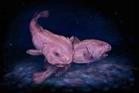 Ugly Animal Cafes Image 2