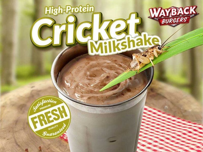 Cricket-Laced Milkshakes