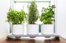 Self-Watering Herb Pots