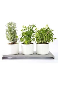 Self-Watering Herb Pots Image 3