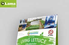 Aquaponic Lettuce Packaging