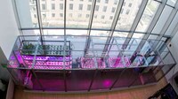 Desktop Aeroponic Gardens Image 2