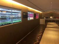 Desktop Aeroponic Gardens Image 5