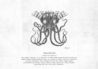 Archaeological Wine Labels Image 7