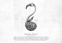 Archaeological Wine Labels Image 8