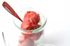 Balsamic Rhubarb Sorbets