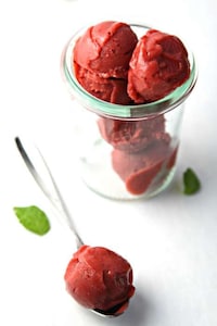 Balsamic Rhubarb Sorbets Image 2