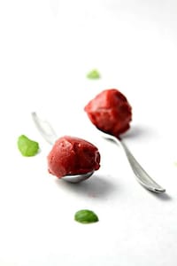 Balsamic Rhubarb Sorbets Image 3