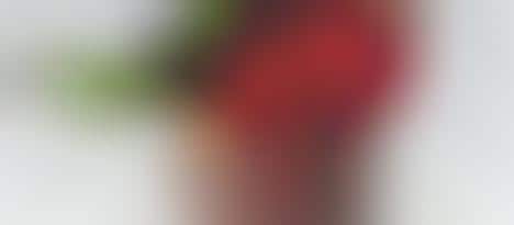 Vegan Espresso Mousse