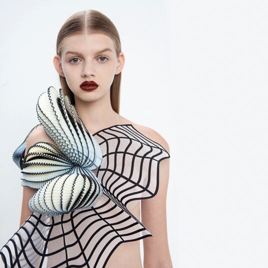 Graphic 3D-Printed Fashion