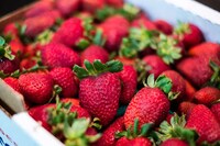 Simple Strawberry Fruit Rolls Image 2
