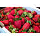 Simple Strawberry Fruit Rolls Image 2