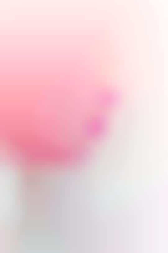 Cotton Candy Shooters