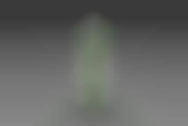 Contoured Soda Bottles