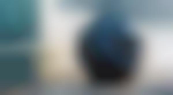 Panoramic Spherical Cameras