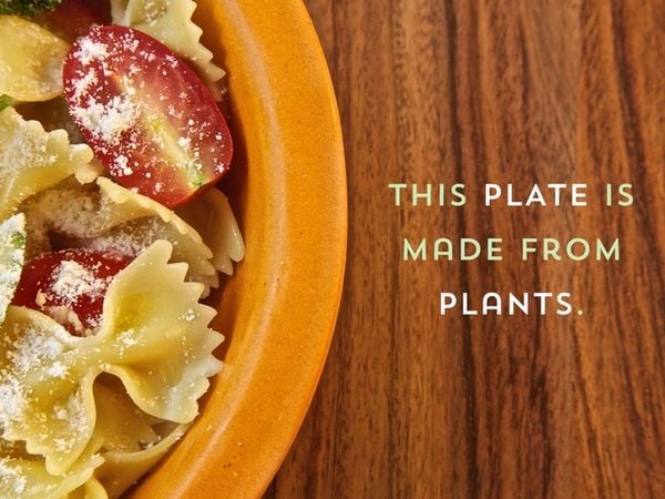 14 Eco-Friendly Dishware Sets